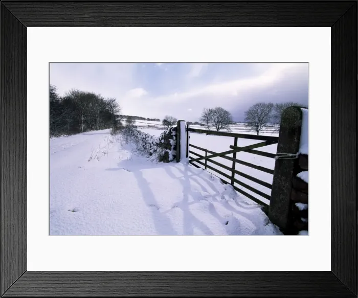 Framed Print : Snow on Tissington Trail, Hartington, Derbyshire, England, United Kingdom, Europe Framed Print : Snow on Tissington Trail, Hartington, Derbyshire, England, United Kingdom, Europe