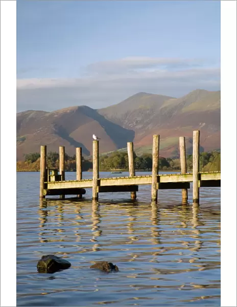 Wooden jetty at Barrow Bay landing on Derwent Water looking north to Skiddaw in autumn