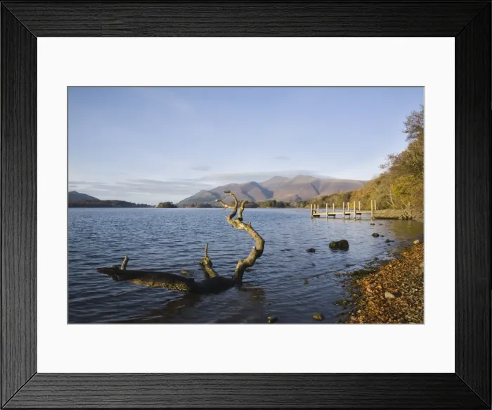 Framed Print : Log in water near Barrow Bay landing on Derwent Water, looking north to Skiddaw in autumn Framed Print : Log in water near Barrow Bay landing on Derwent Water, looking north to Skiddaw in autumn