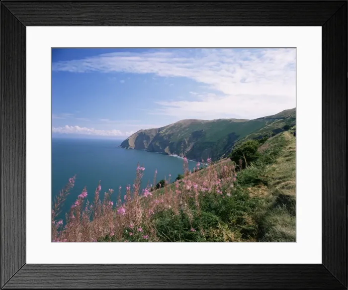 Framed Print : South west peninsula coast path, Devon, England, United Kingdom, Europe Framed Print : South west peninsula coast path, Devon, England, United Kingdom, Europe