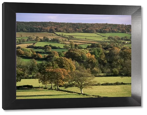 Otter Valley in autumn, Devon, England, United Kingdom, Europe