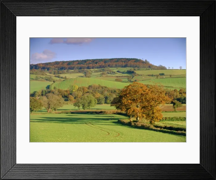 Framed Print : Countryside in autumn in the Otter Valley, Devon, England, UK Framed Print : Countryside in autumn in the Otter Valley, Devon, England, UK