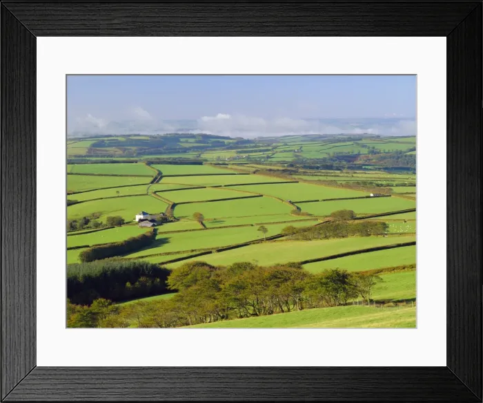 Framed Print : Fields on edge of Exmoor National Park, Exmoor from Shoulsbarrow Common Framed Print : Fields on edge of Exmoor National Park, Exmoor from Shoulsbarrow Common