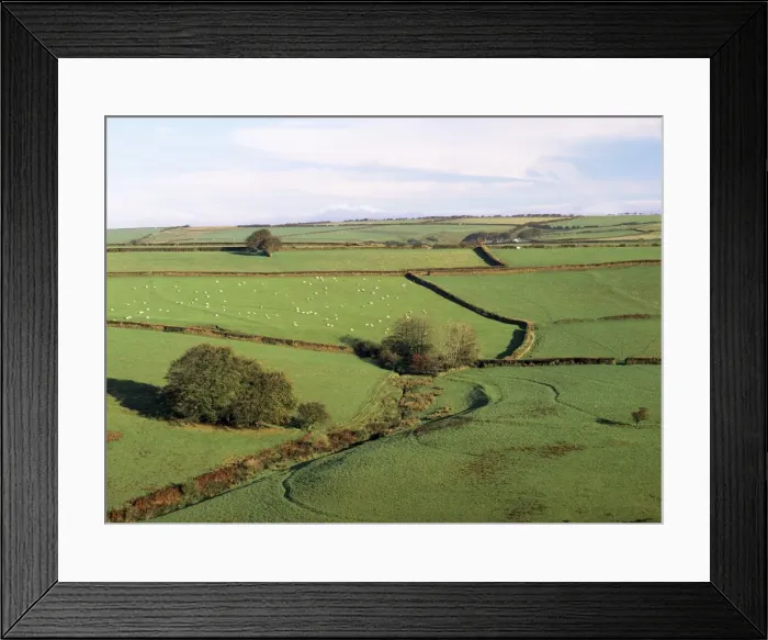 Framed Print : Fields on the edge of Exmoor National Park, Challacombe, Exmoor, Devon Framed Print : Fields on the edge of Exmoor National Park, Challacombe, Exmoor, Devon