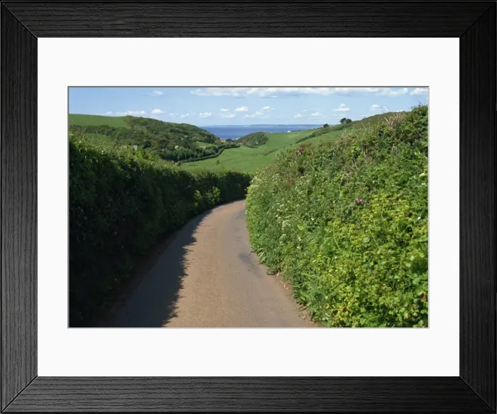 Framed Print : Narrow lane near Salcombe, Devon, England, United Kingdom, Europe Framed Print : Narrow lane near Salcombe, Devon, England, United Kingdom, Europe