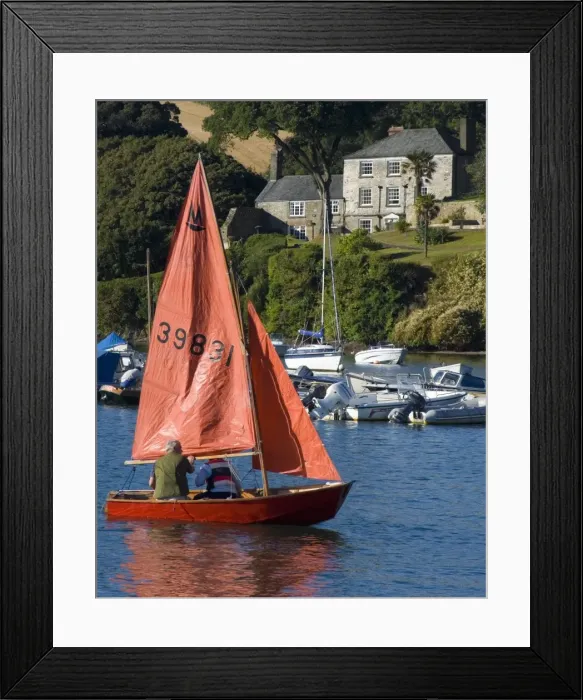 Framed Print : Sailing, Salcombe harbour, South Hams, Devon, England, United Kingdom, Europe Framed Print : Sailing, Salcombe harbour, South Hams, Devon, England, United Kingdom, Europe