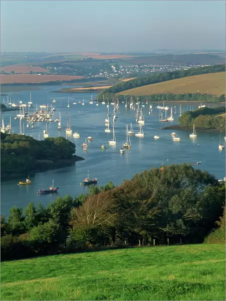 View over the Kingsbridge Estuary from East Portlemouth, Salcombe, Devon