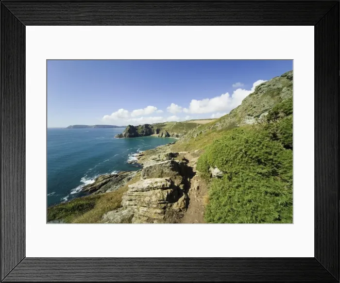 Framed Print : Gammon Head, Prawle Point, view from Devon Coast Path, South Hams, Devon Framed Print : Gammon Head, Prawle Point, view from Devon Coast Path, South Hams, Devon