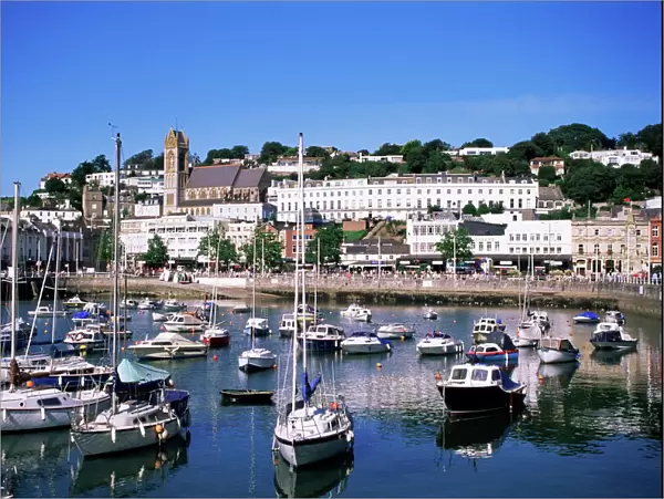 Harbour, Torquay, Devon, England, United Kingdom, Europe
