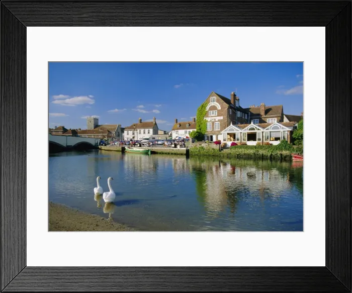Framed Print : Swans on the River Frome, Wareham, Dorset, England, UK Framed Print : Swans on the River Frome, Wareham, Dorset, England, UK