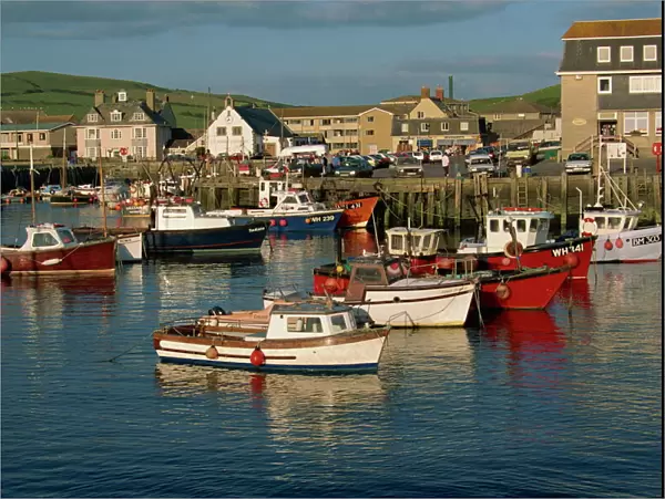 Boats moored in West Bay harbour, Dorset, England, United Kingdom, Europe