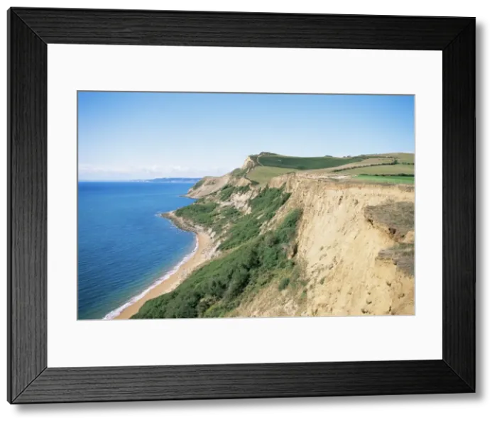 Framed Print : Thorncombe Beacon, Dorset, England, United Kingdom, Europe Framed Print : Thorncombe Beacon, Dorset, England, United Kingdom, Europe