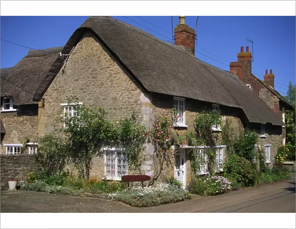 Thatched cottages with roses on the walls at Burton Bradstock in Dorset
