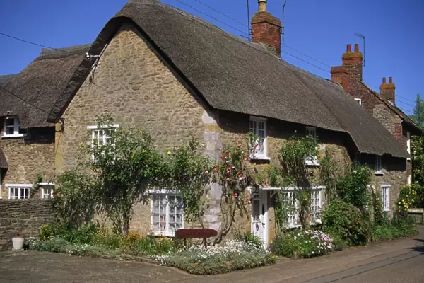 Thatched cottages with roses on the walls at Burton Bradstock in Dorset