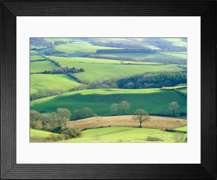 Framed Print : View from Pilsdon Pen, the highest hill in the county, Dorset, England, UK Framed Print : View from Pilsdon Pen, the highest hill in the county, Dorset, England, UK