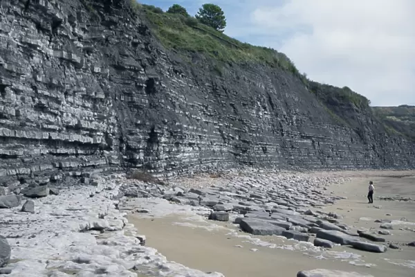 Sedimentary rocks, blue lias, shale-limestone sequences, Lyme Regis, Jurassic coast