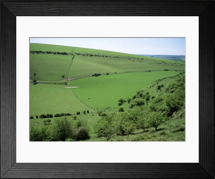 Framed Print : The South Downs between Lewes and Glynde, East Sussex, England, United Kingdom, Europe Framed Print : The South Downs between Lewes and Glynde, East Sussex, England, United Kingdom, Europe
