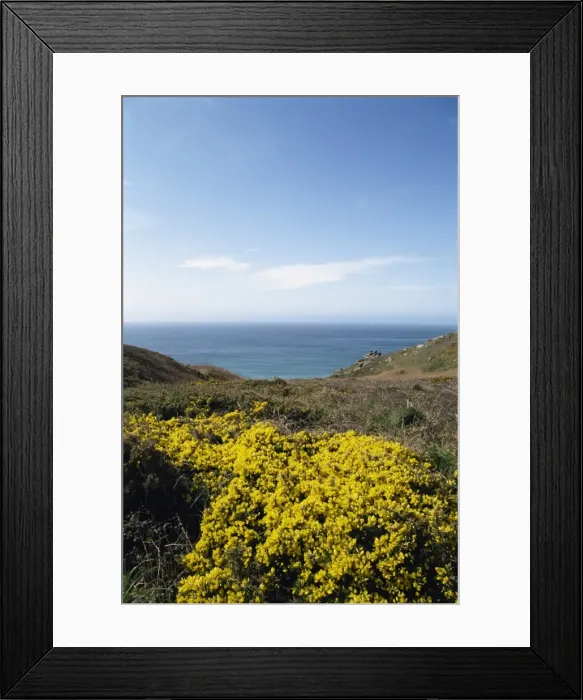Framed Print : Logan Rock, Cornwall, England, United Kingdom, Europe Framed Print : Logan Rock, Cornwall, England, United Kingdom, Europe