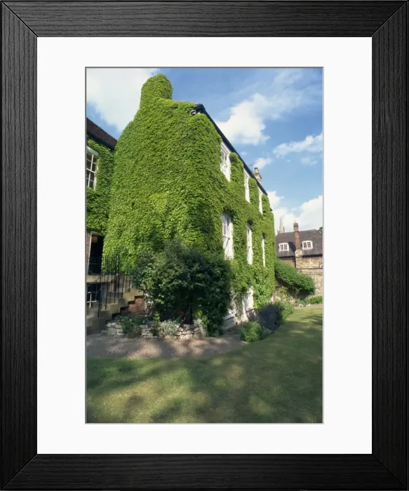 Framed Print : Ivy covered building, Lincoln, Lincolnshire, England, United Kingdom, Europe Framed Print : Ivy covered building, Lincoln, Lincolnshire, England, United Kingdom, Europe