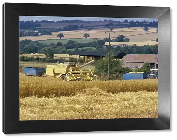 Harvesting in the 1970s, Shropshire, England, United Kingdom, Europe