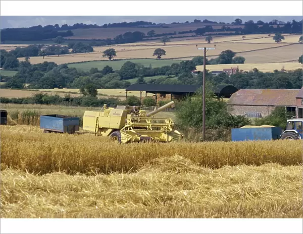 Harvesting in the 1970s, Shropshire, England, United Kingdom, Europe