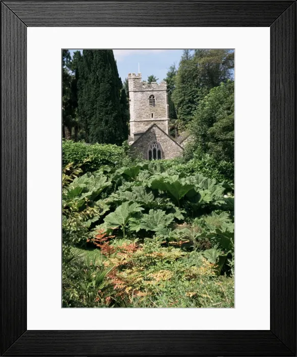 Framed Print : Church dating from the 13th century, St. Just-in-Roseland, Cornwall, England Framed Print : Church dating from the 13th century, St. Just-in-Roseland, Cornwall, England