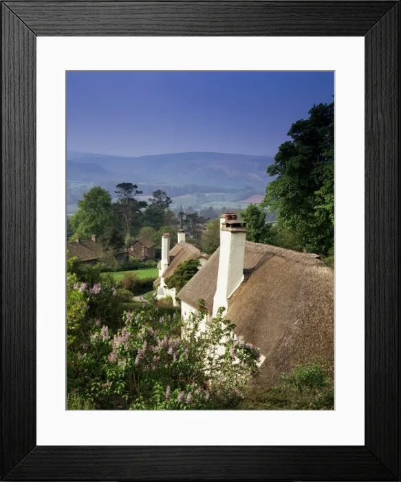 Framed Print : Thatched cottages at Selworthy Green, with Exmoor beyond, Somerset, England Framed Print : Thatched cottages at Selworthy Green, with Exmoor beyond, Somerset, England