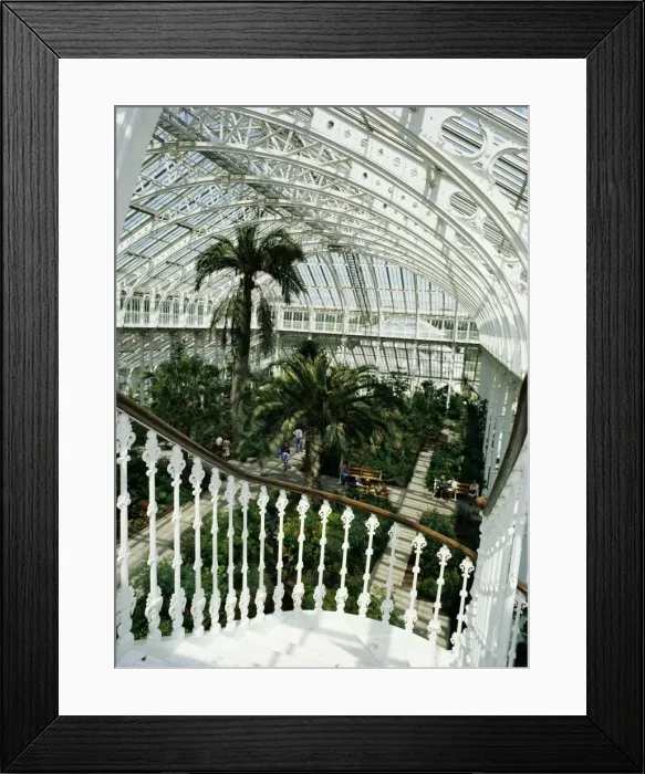 Framed Print : Interior of the Temperate House, restored in 1982, Kew Gardens, UNESCO World Heritage Site Framed Print : Interior of the Temperate House, restored in 1982, Kew Gardens, UNESCO World Heritage Site