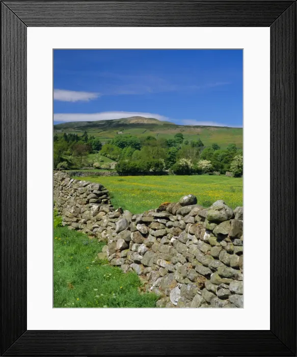 Framed Print : Dry stone wall, Swaledale, North Yorkshire, England, UK, Europe Framed Print : Dry stone wall, Swaledale, North Yorkshire, England, UK, Europe