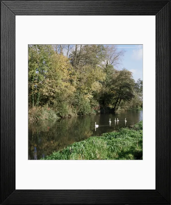 Framed Print : Kennet and Avon Canal, Woolhampton, Berkshire, England, United Kingdom, Europe Framed Print : Kennet and Avon Canal, Woolhampton, Berkshire, England, United Kingdom, Europe