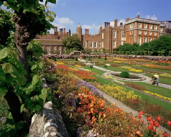 Sunken gardens, Hampton Court Palace, Greater London, England, United Kingdom, Europe