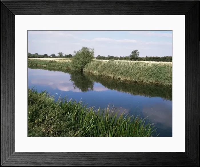 Framed Print : Great Ouse River near Bletsoe, Bedfordshire, England, United Kingdom, Europe Framed Print : Great Ouse River near Bletsoe, Bedfordshire, England, United Kingdom, Europe