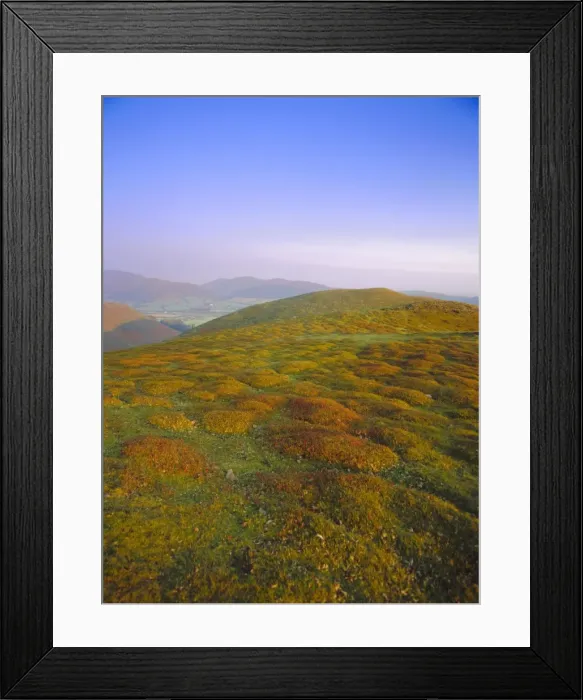 Framed Print : Autumn evening n the Long Mynd, Shropshire, England Framed Print : Autumn evening n the Long Mynd, Shropshire, England