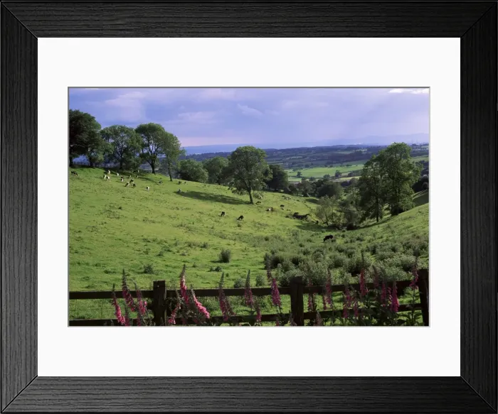 Framed Print : View from Windmill Hill, Waseley Country Park near Rubery, Chapmans Hill Framed Print : View from Windmill Hill, Waseley Country Park near Rubery, Chapmans Hill