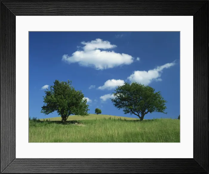 Framed Print : Tumuli, Pitstone Hill, beside the Chilterns Ridgeway path, Buckinghamshire Framed Print : Tumuli, Pitstone Hill, beside the Chilterns Ridgeway path, Buckinghamshire