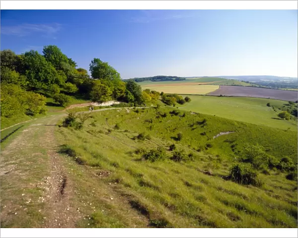 The Ridgeway Path between Steps Hill and Pitstone Hill, Chilterns, Buckinghamshire