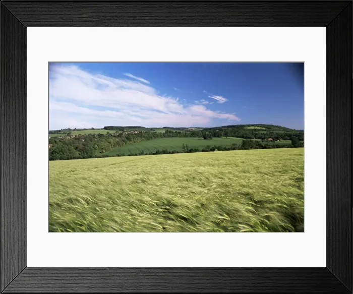 Framed Print : Farmland, Darent Valley, North Downs, near Eynsford, Kent, England, United Kingdom Framed Print : Farmland, Darent Valley, North Downs, near Eynsford, Kent, England, United Kingdom