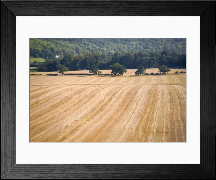 Framed Print : Farmland after harvesting, view from the Ridgeway Path, Pitstone Hill, Buckinghamshire Framed Print : Farmland after harvesting, view from the Ridgeway Path, Pitstone Hill, Buckinghamshire