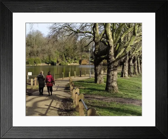 Framed Print : Hampstead ponds, Hampstead Heath, London, England, United Kingdom, Europe Framed Print : Hampstead ponds, Hampstead Heath, London, England, United Kingdom, Europe