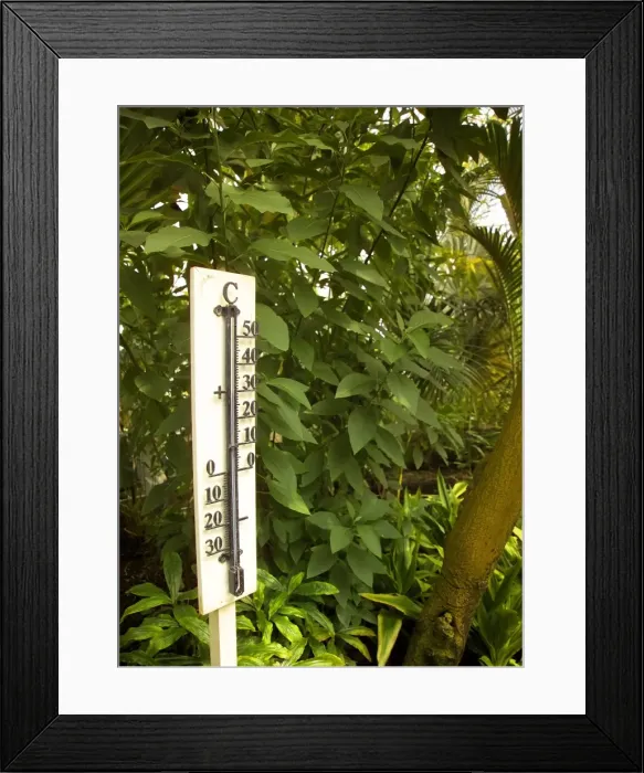 Framed Print : Thermometer showing 30 degrees celsius, interior of Palm House, Kew Gardens Framed Print : Thermometer showing 30 degrees celsius, interior of Palm House, Kew Gardens
