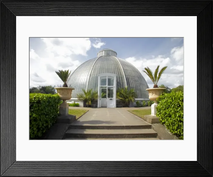 Framed Print : The Palm House conservatory, Kew Gardens, UNESCO World Heritage Site, London Framed Print : The Palm House conservatory, Kew Gardens, UNESCO World Heritage Site, London