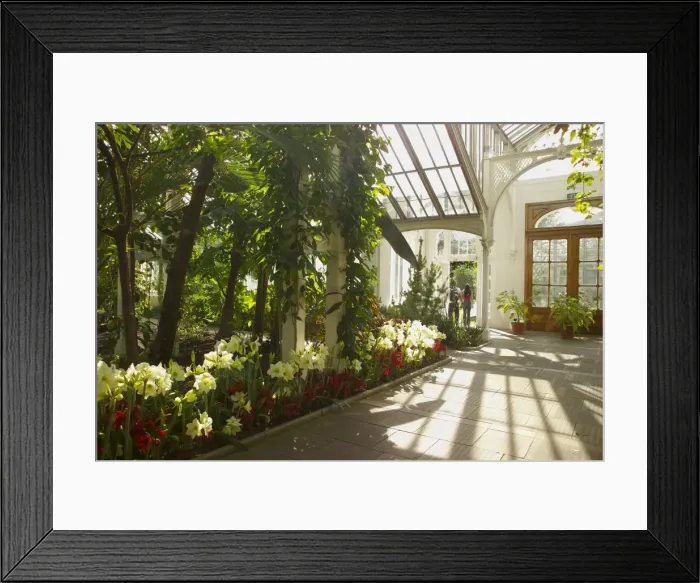 Framed Print : Interior of the Temperate House, Kew Gardens, UNESCO World Heritage Site Framed Print : Interior of the Temperate House, Kew Gardens, UNESCO World Heritage Site