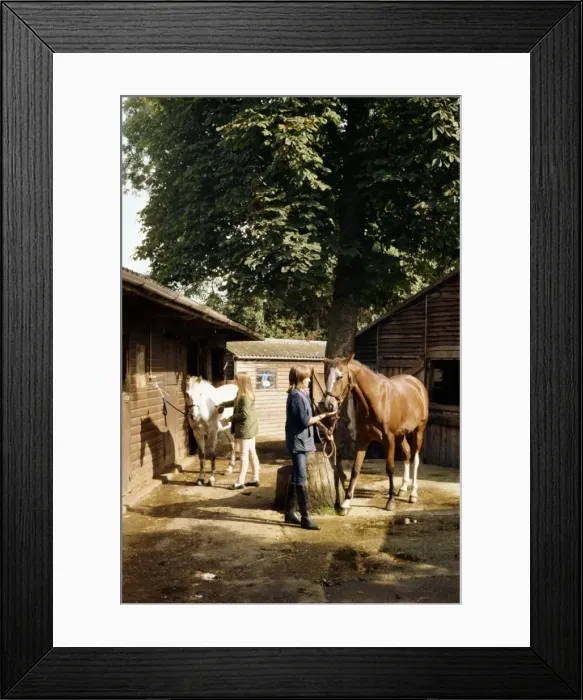 Framed Print : Frith Manor Livery Stables, England, United Kingdom, Europe Framed Print : Frith Manor Livery Stables, England, United Kingdom, Europe