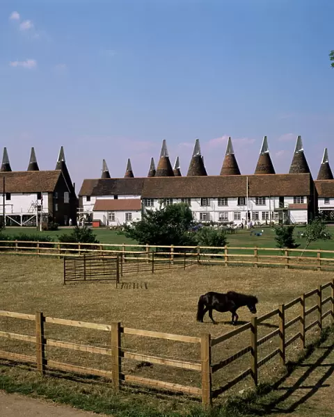 Oast houses at Whitbread Hop Farm, Tonbridge, Kent, England, United Kingdom, Europe