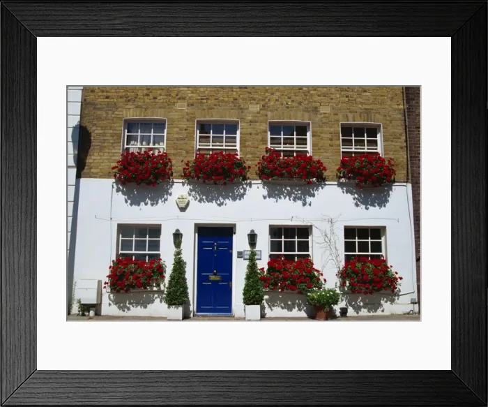 Framed Print : Terraced house with windowboxes of geraniums in Smith Terrace, London, England Framed Print : Terraced house with windowboxes of geraniums in Smith Terrace, London, England