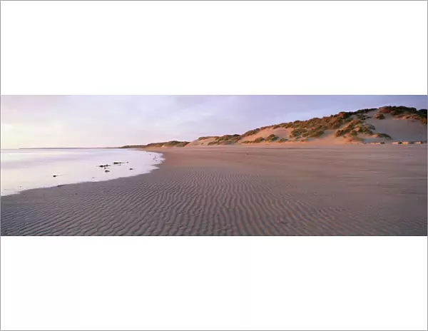 Beach at Alnmouth in dawn light with ripples and sand dunes, near Alnwick