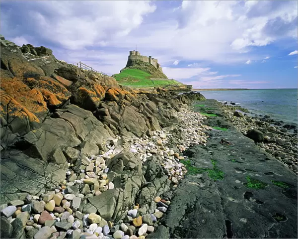 Lindisfarne castle, Lindisfarne, Holy Island, Northumberland, England, United Kingdom
