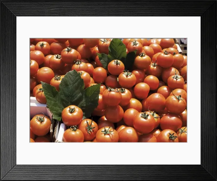 Framed Print : Tomatoes on market stall, Kingston-upon-thames, Surrey, England, United Kingdom, Europe Framed Print : Tomatoes on market stall, Kingston-upon-thames, Surrey, England, United Kingdom, Europe