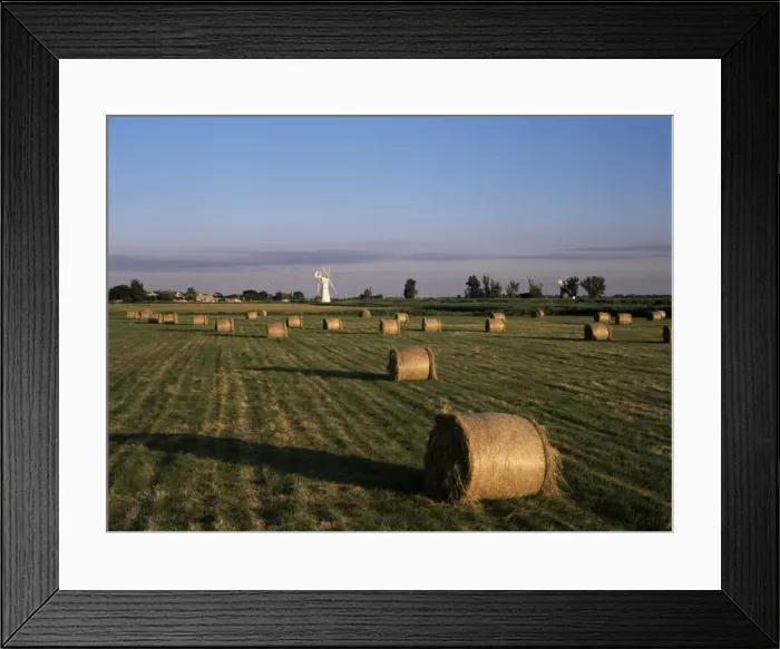 Framed Print : Fields, Thurne Broad, Norfolk, England, United Kingdom, Europe Framed Print : Fields, Thurne Broad, Norfolk, England, United Kingdom, Europe