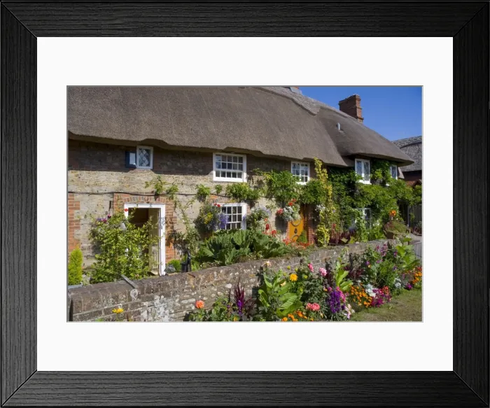 Framed Print : Thatched cottage, Selsey, Sussex, England, United Kingdom, Europe Framed Print : Thatched cottage, Selsey, Sussex, England, United Kingdom, Europe